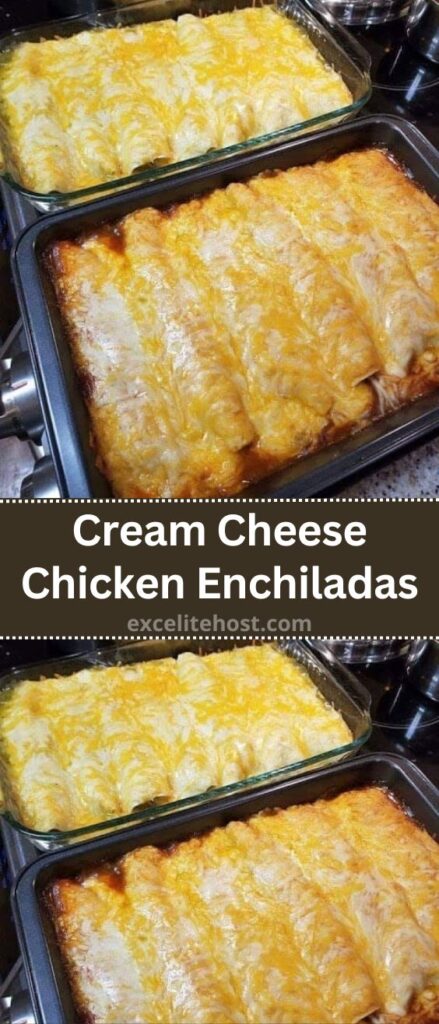 Cream cheese chicken enchiladas in a baking dish