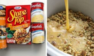 Dump 4 ingredients into a slow cooker. End result is a hearty, tasty chicken and stuffing Dump 4 ingredients into a slow cooker. End result is a hearty, tasty chicken and stuffing