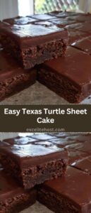Easy Texas Turtle Sheet Cake