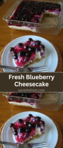 Fresh Blueberry Cheesecake