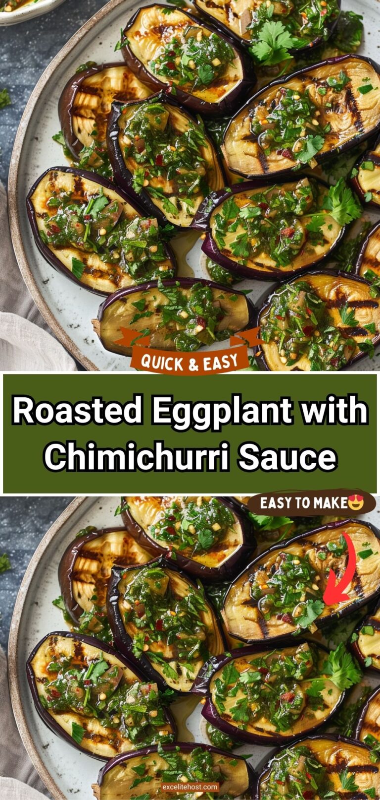 Roasted Eggplant with Chimichurri Sauce