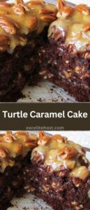 Turtle Caramel Cake