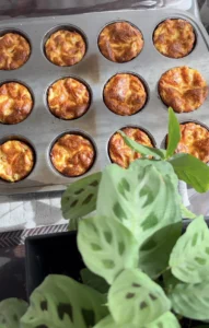Mini Quiche: Discover This Easy and Delicious Recipe! mini-quiche-v0-uesubc11pxzd1